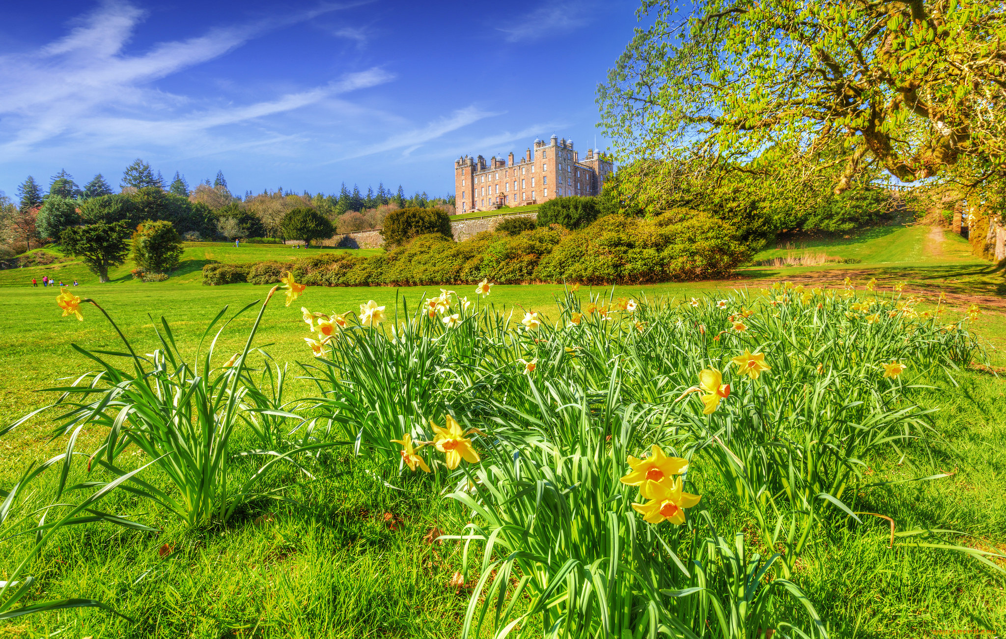 drumlanrig castle, scotland, united kingdom, ,  , drumlanrig, castle, united, kingdom